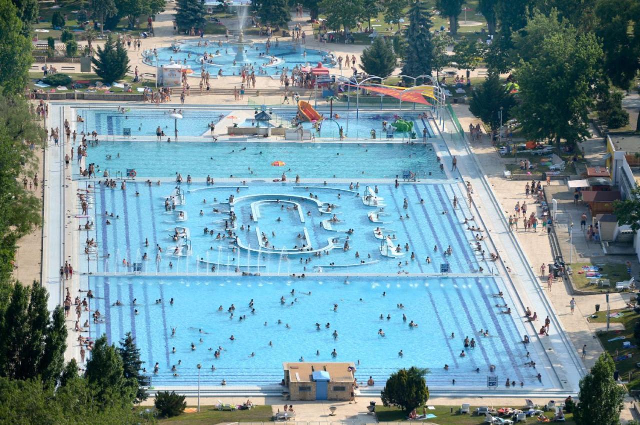 Island Hostel Budapest (Adults Only) Екстер'єр фото Aerial view of the swimming pool